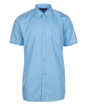Blue Shirts and Blouses(Short Sleeved)