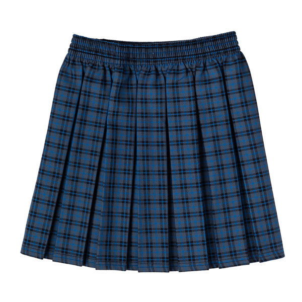 Box Pleat Skirt