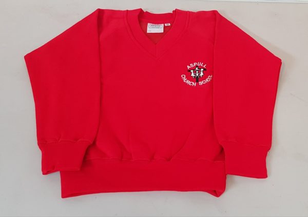 V-Neck Sweatshirt