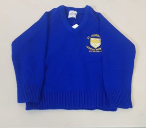 V-Neck Sweatshirt