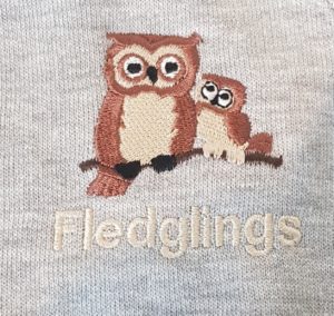 Woodfold Fledglings Nursery