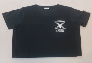 GCSE Dance Pe Top
